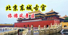 风骚荡妇性高潮图中国北京-东城古宫旅游风景区