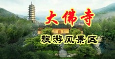 干肥岳爽歪歪中国浙江-新昌大佛寺旅游风景区